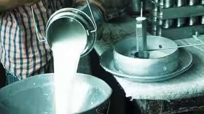 Punjab Bans Analogue Paneer for One Year